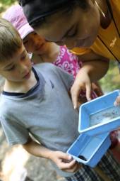 Two children and a teacher look at pondwater in blue dishes.