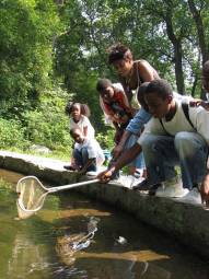 A group of children, one holding a net, look into a pond.