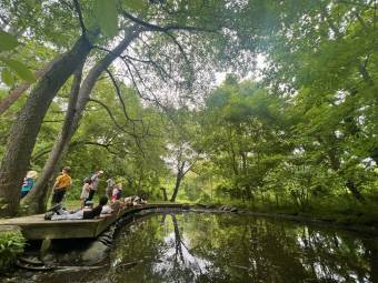 A group of children lay down on a wooden boardwalk next to a pond in a green forest.