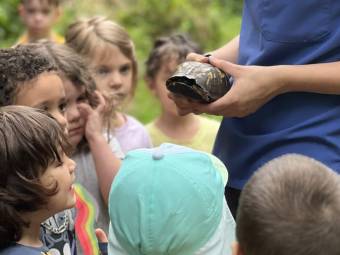 A group of small children stand around an educator holding a turtle.