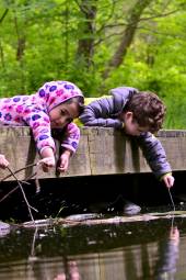 Three preschool aged children play with sticks while leaning over a wooden boardwalk looking into a pond.