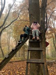 Two children looking through binoculars at the top of wooden ladders secured to a tree in an autumn forest.