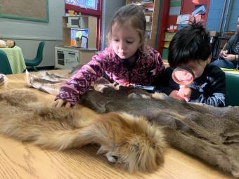 Two children look at animal furs in a classroom.