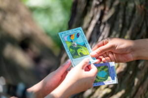 Hands trade colorful cards with natural illustrations on them.