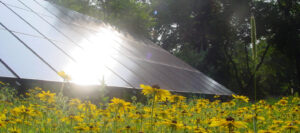 A large solar panel reflecting sunlight in a field of yellow wildflowers.