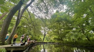 A group of children lay down on a wooden boardwalk next to a pond in a green forest.