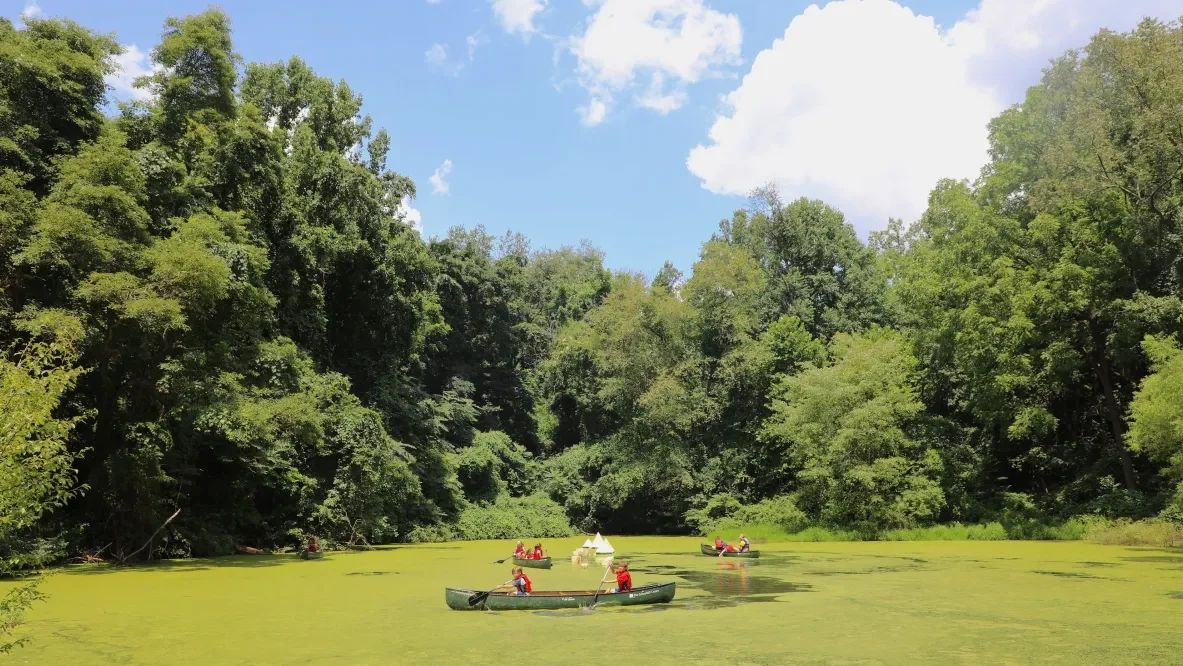 People canoing on a pond surrounded by forest under a bright blue sky. 