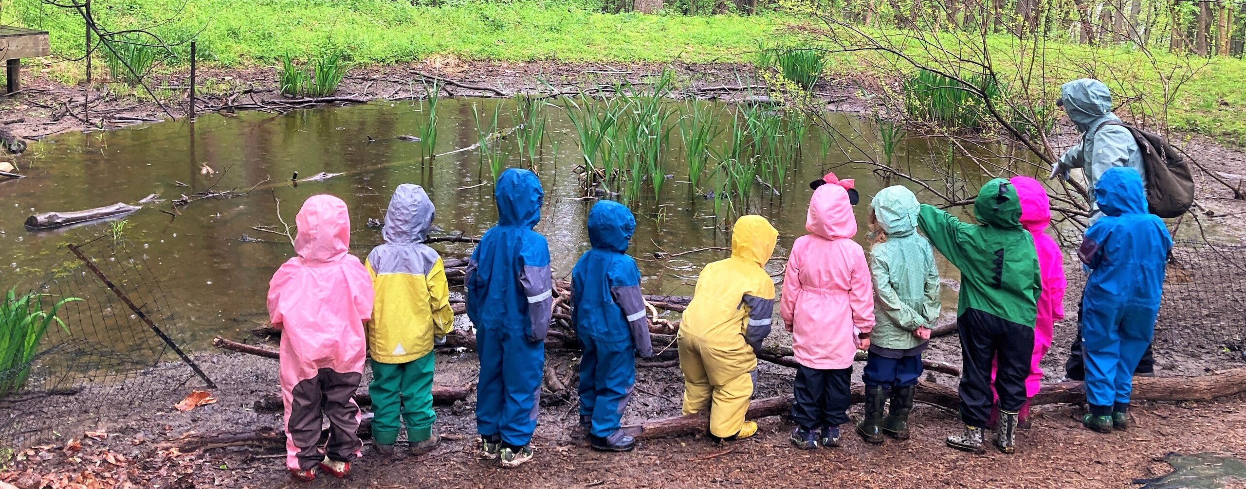 Ten preschool age children and one adult wearing rain gear stand around a pond in a natural setting. 