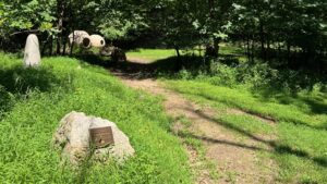 The trail to Jubilee Grove, a dirt trail next to a rock with a bronze sign. 