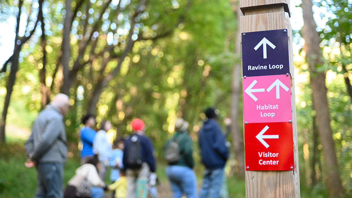 A wooden trail signpost with directions for trails in front of a group of people on a hike.