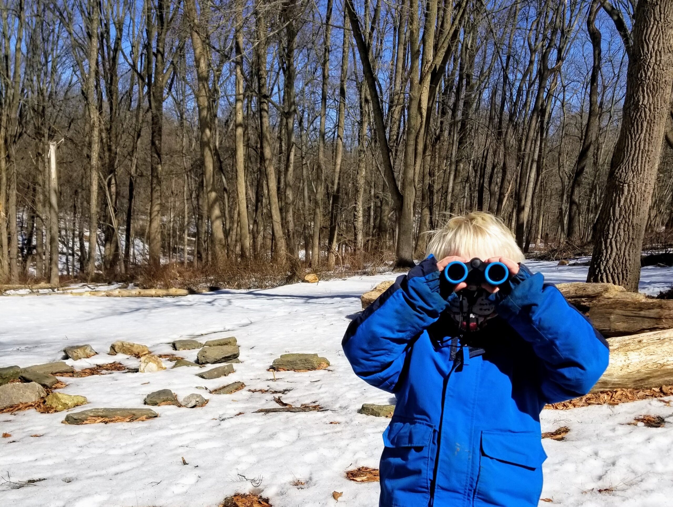 A child in a blue winter coat looks through binoculars in a snow-covered landscape.